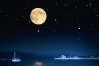 بقلم: آمال بنت محمدن