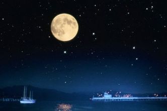 بقلم: الثريا حمودي